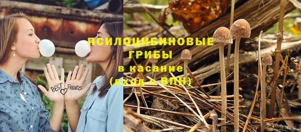 Альфа ПВП Покровск