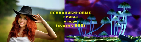 таблы Покачи