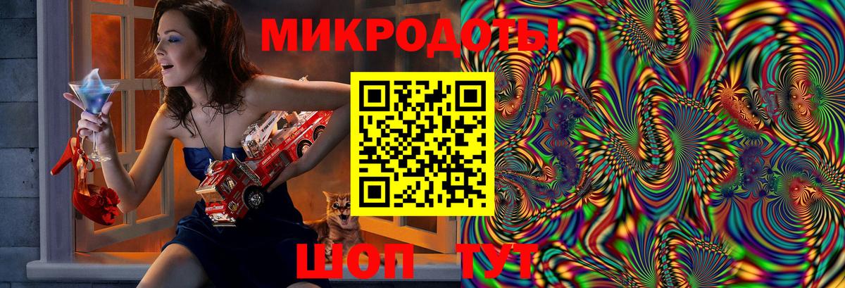 Псилоцибиновые грибы Psilocybine cubensis Солнечногорск