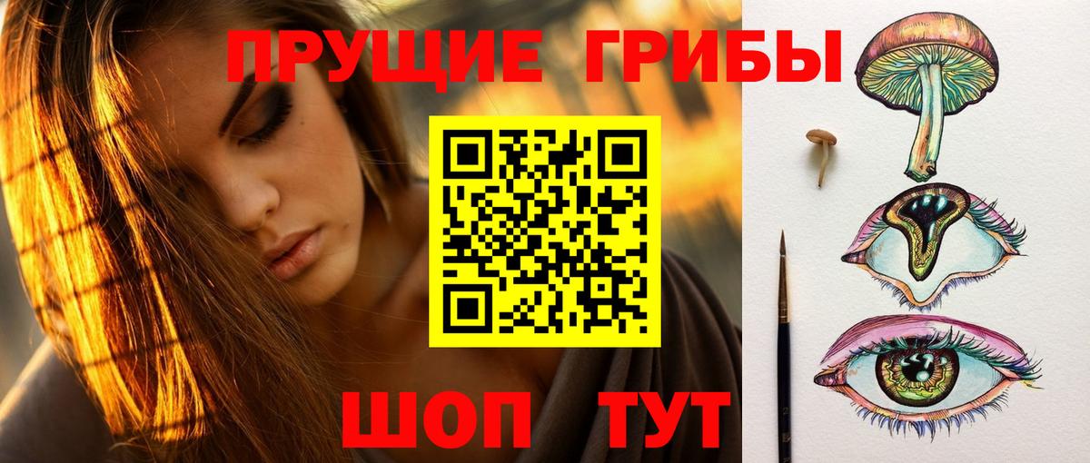 Солнечногорск  Псилоцибиновые грибы Magic Shrooms  Вход с VPN 